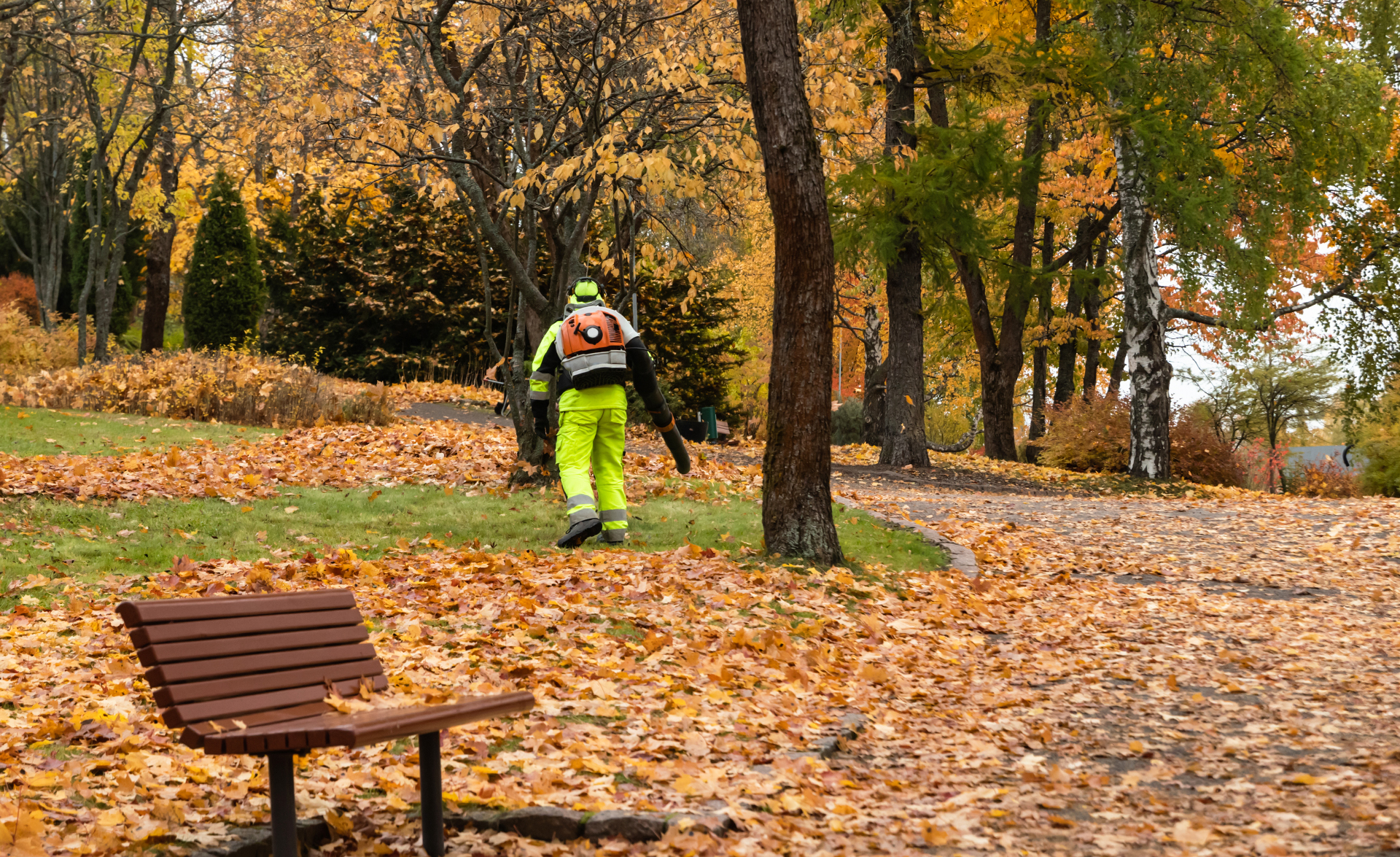 En parkarbetare i neongröna arbetskläder blåser ihop höstlöv i en park.